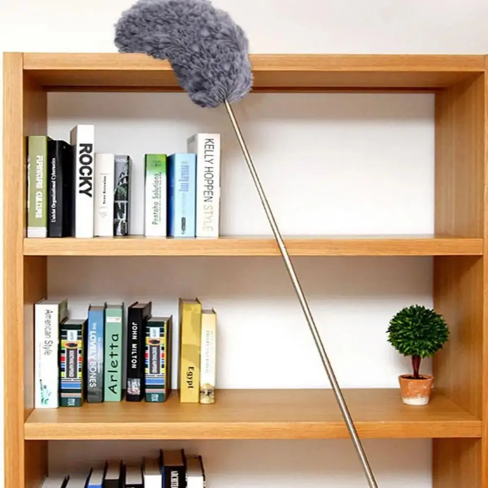 Dusting brush